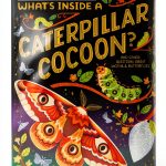 What's Inside: A Fun Bug and Spider Book for Preschoolers-0