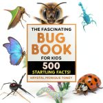 Fascinating Facts: Bugs and Spiders for Kids, Ages 4-8, Grade 3-7,-0