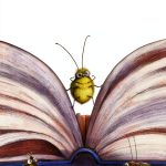 Children's Bug & Spider Book by Greenwillow Books-0