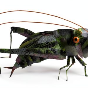 Eric Carle Bug & Spider Kindle Book 32‑Page Children’s Story-0
