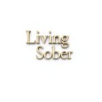 Alcoholics Anonymous Big Book Kindle eBook 94 Pages by AA Services-0
