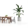 2 Pack LED Uplights Indoor, 3W Plug-in Spot Lights Indoor with Remote Control: Dimmable and Timer, 3000K/4000K/5000K Adjustable Uplights for Plants, Pictures, Artwork, 5.9 FT Plug Cord-1