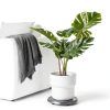 SUNVIE 2 Pack LED Up Lights Indoor, 3W Spot Lights for Indoor Use with 3000K Warm White, 120V Spotlights for Plants Pictures Artwork Uplighting & Accent Lighting, 5.9 FT Plug Cord with Foot Switch-1