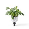LED Spot Lights Indoor FZWLE RGBW Spotlights with Remote and Switch-1